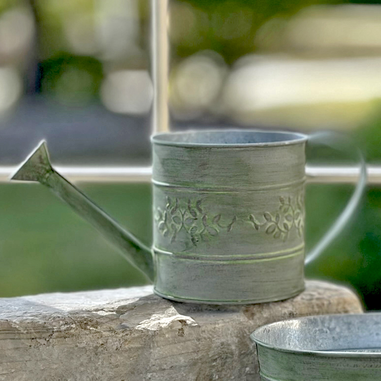 WATERING CAN PRIVET GREEN